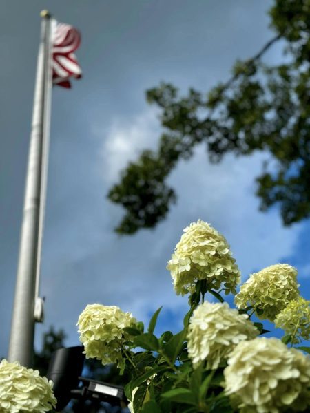 482247870 1032596805564344 6442004086102539783 n