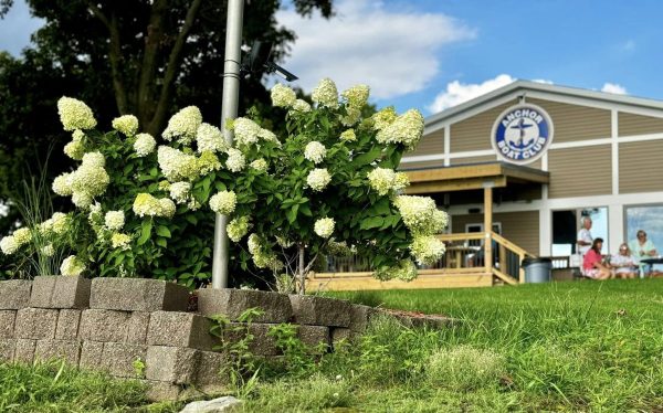 482252116 1032596628897695 111520113334250535 n