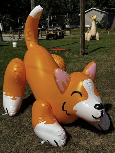 484070341 1034940595329965 1712594256625533345 n (1)