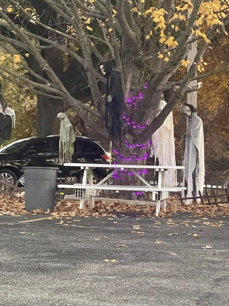 484796204 1034991865324838 1317074824746172756 n