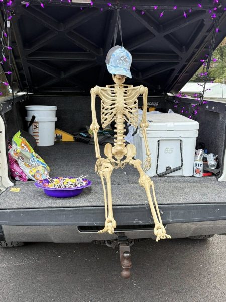 571150946 1212632810894075 1103882340839628490 n