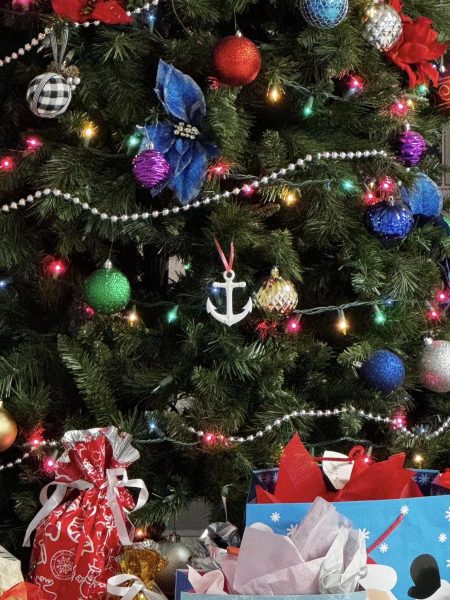 485003372 1035936258563732 8285049731146609032 n